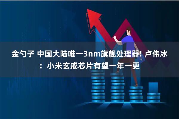 金勺子 中国大陆唯一3nm旗舰处理器! 卢伟冰：小米玄戒芯片有望一年一更