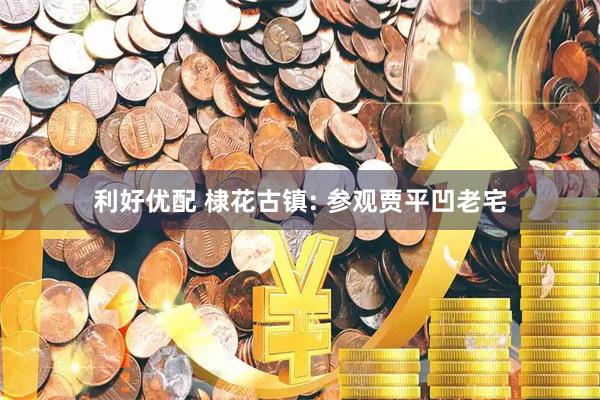 利好优配 棣花古镇: 参观贾平凹老宅